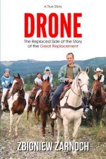 Drone: The Replaced Side of the Story of the Great Replacement