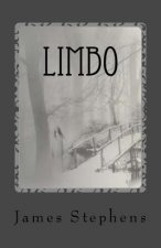 Limbo: book 2 of the Afterlife Chronicles