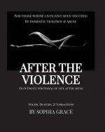After the Violence: An Intimate Portrayal of Life After Abuse [Large Print Edition]