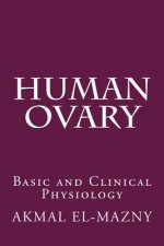 Human Ovary
