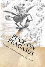 Puck on Peagasus: Illustrated