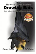 Drawing Bats - How to Draw Bats for the Absolute Beginner
