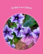 Arriba Los Colores: Coloring Flowers