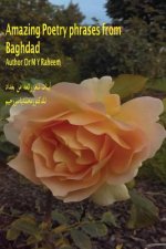 Amazing Poetry Phrases from Baghdad