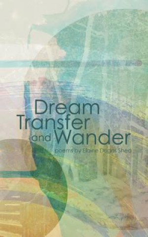 Dream Transfer and Wander