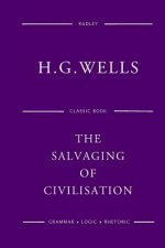 The Salvaging Of Civilisation