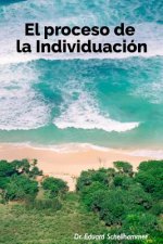 El Proceso de la Individuacion