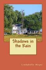 Shadows in the Rain