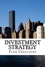 Investment Strategy: 2017-2020