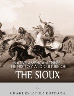 Native American Tribes: The History and Culture of the Sioux