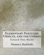 Elementary Particles, Objects, and the Cosmos: Toward One Model