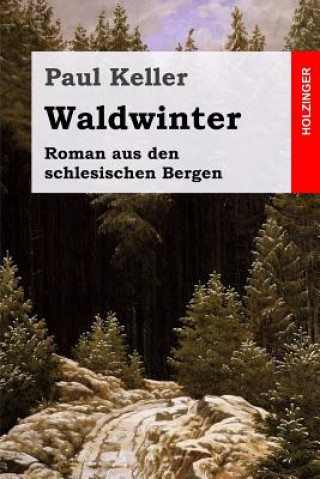 Waldwinter: Roman aus den schlesischen Bergen