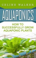 Aquaponics: How to Successfully Grow Aquaponic Plants