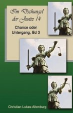 Chance oder Untergang 3: Im Dschungel der Justiz