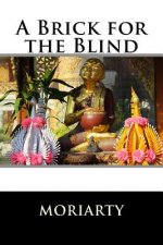 A Brick for the Blind