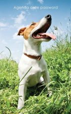 Agenda delle password: Agenda degli indirizzi web e delle password di accesso - Copertina Jack Russell Terrier