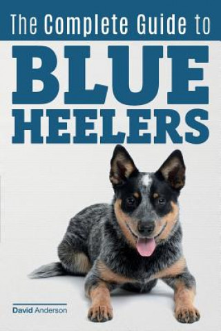 The Complete Guide to Blue Heelers - aka The Australian Cattle Dog. Learn About Breeders, Finding a Puppy, Training, Socialization, Nutrition, Groomin