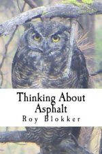 Thinking About Asphalt: Musings on Life, the Universe, and Everything