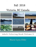 Fall Victoria, BC Canada: Adult Coloring Book Volume 3