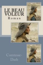 Le beau Voleur: Roman