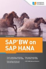 SAP BW on HANA