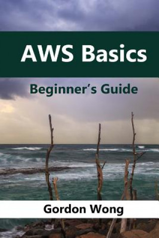 AWS Basics: Beginners Guide