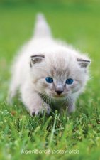 Agenda de passwords: Agenda para endereços electrónicos e passwords - Capa gatinho de olhos azuis