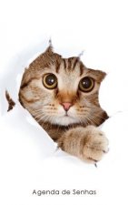 Agenda de Senhas: Agenda para endereços eletrônicos e senhas: Capa gato peekaboo - Portugu?s (Brasil)