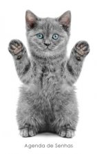 Agenda de Senhas: Agenda para endereços eletrônicos e senhas: Capa gatinho brincalh?o - Portugu?s (Brasil)