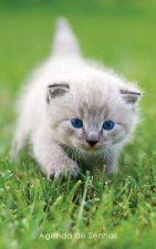 Agenda de Senhas: Agenda para endereços eletrônicos e senhas: Capa gatinho de olhos azuis - Portugu?s (Brasil)