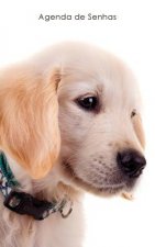 Agenda de Senhas: Agenda para endereços eletrônicos e senhas: Capa cachorrinho Golden Retriever - Portugu?s (Brasil)