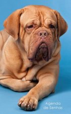 Agenda de Senhas: Agenda para endereços eletrônicos e senhas: Capa French Mastiff - Portugu?s (Brasil)