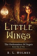 Little Wings: The Outbounders Of Segais - Book One of Two