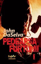 Pedeapsa Furtunii
