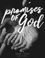 Promises of God Bible Study