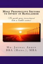 Most Prospective Sectors to Invest in Bangladesh: (To guide your investment into a viable sector)