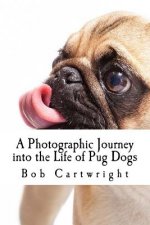 Photographic Journey into the Life of Pug Dogs