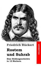 Rostem und Suhrab: Eine Heldengeschichte in 12 Büchern