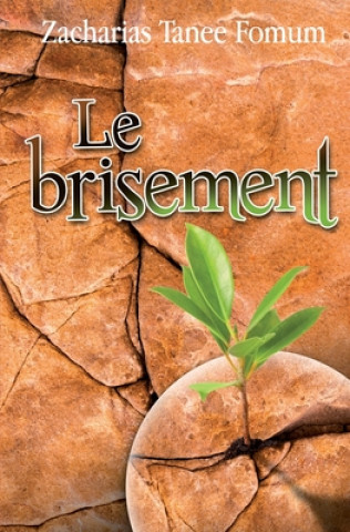 Brisement