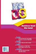 Using MSDOS
