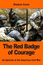 The Red Badge of Courage: An Episode of the American Civil War