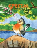 Special