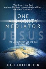 One Almighty Mediator - Jesus: The Link between God and man is God and Man