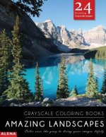 Amazing Landscapes: Grayscale coloring books: Color over the gray to bring your images lifely with 24 stunning grayscale images