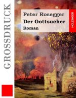 Der Gottsucher (Großdruck): Roman