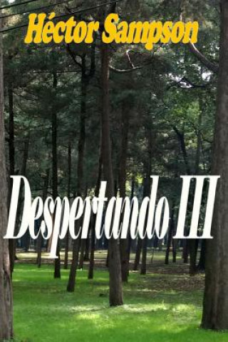 Despertando III