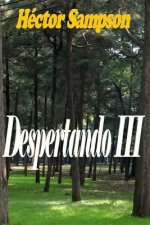 Despertando III