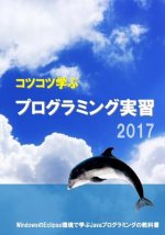 Study Steadily Java Programming Practice 2017