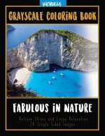 Fabulous in Nature: Landscapes Grayscale Coloring Book Relieve Stress and Enjoy Relaxation 24 Single Sided Images