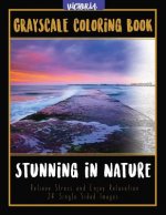 Stunning in Nature: Landscapes Grayscale Coloring Book Relieve Stress and Enjoy Relaxation 24 Single Sided Images